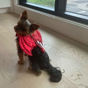 Iridescent Devil Demon Costume